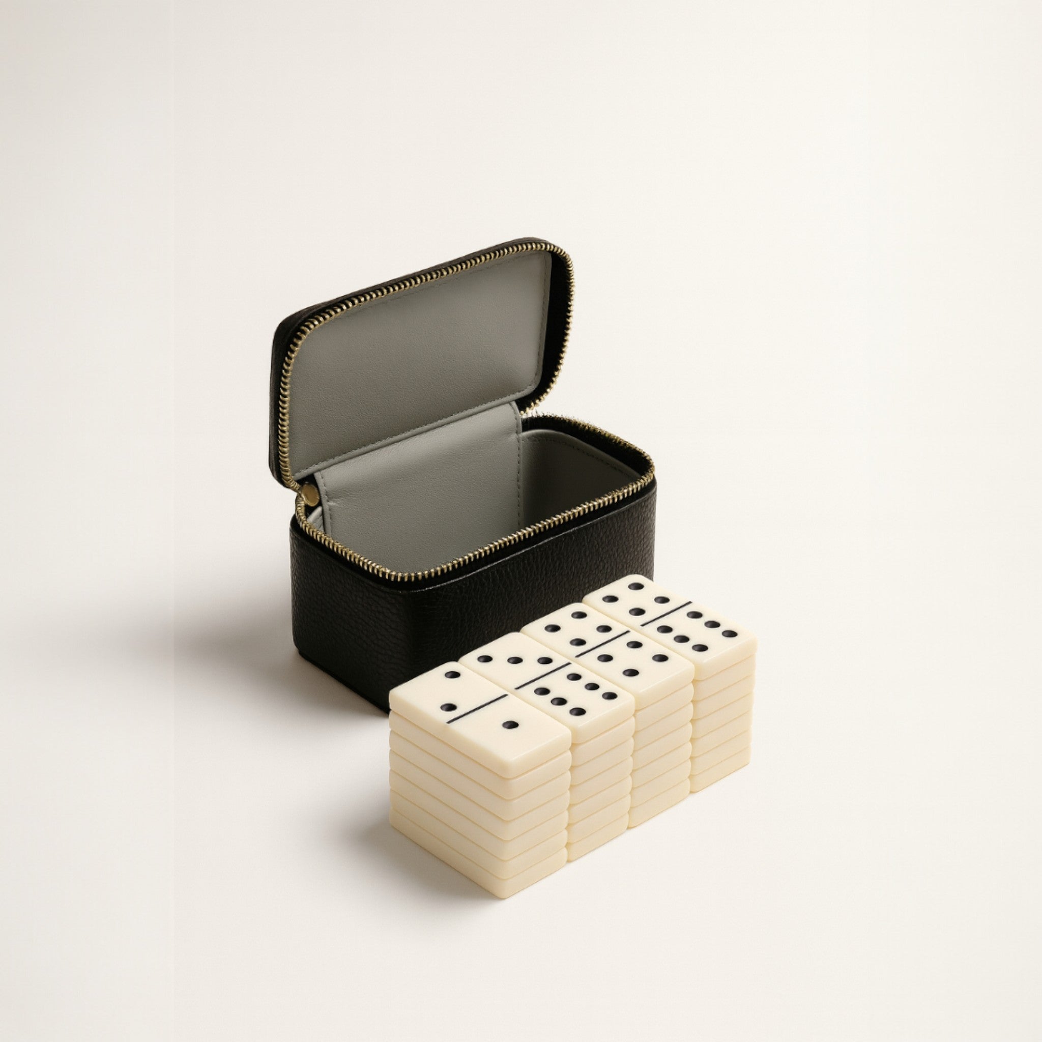 DOMINO CASE